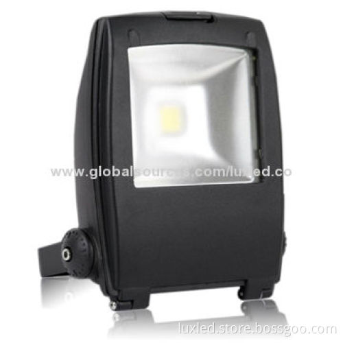 LED Floodlight, COB LED Bridgelux Chip, Meanwell Driver, Suitable for Garden or Building Wall